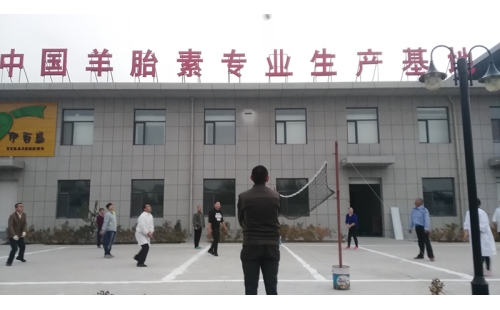 排球傳溫情，員工齊聚心