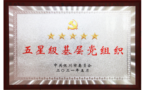 喜報(bào)！伊百盛黨支部榮獲“五星級(jí)基層黨組織”稱(chēng)號(hào)